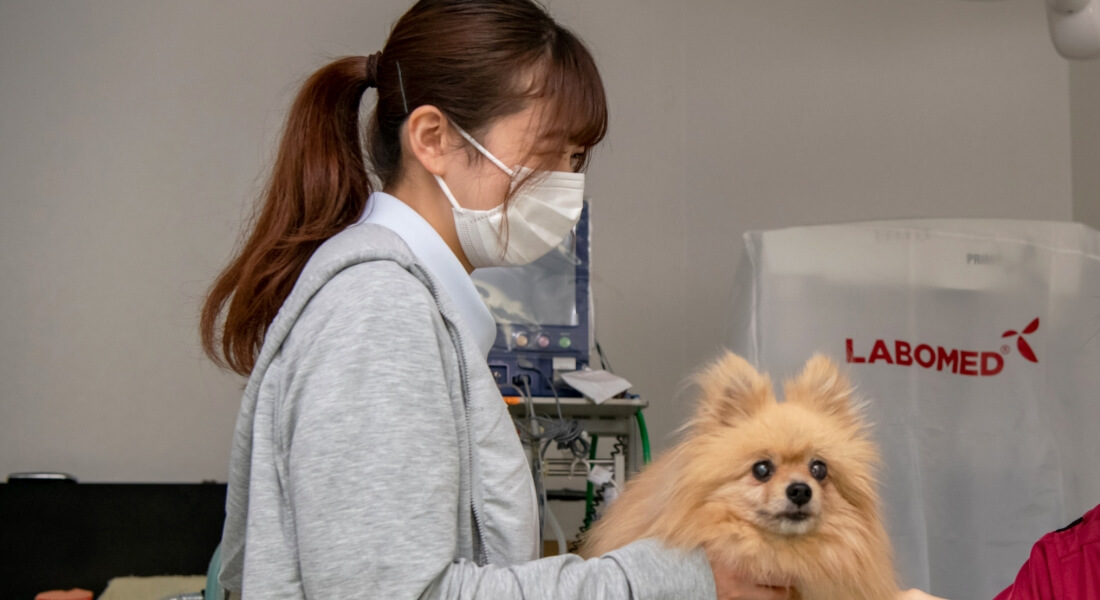 無理のないステップアップ